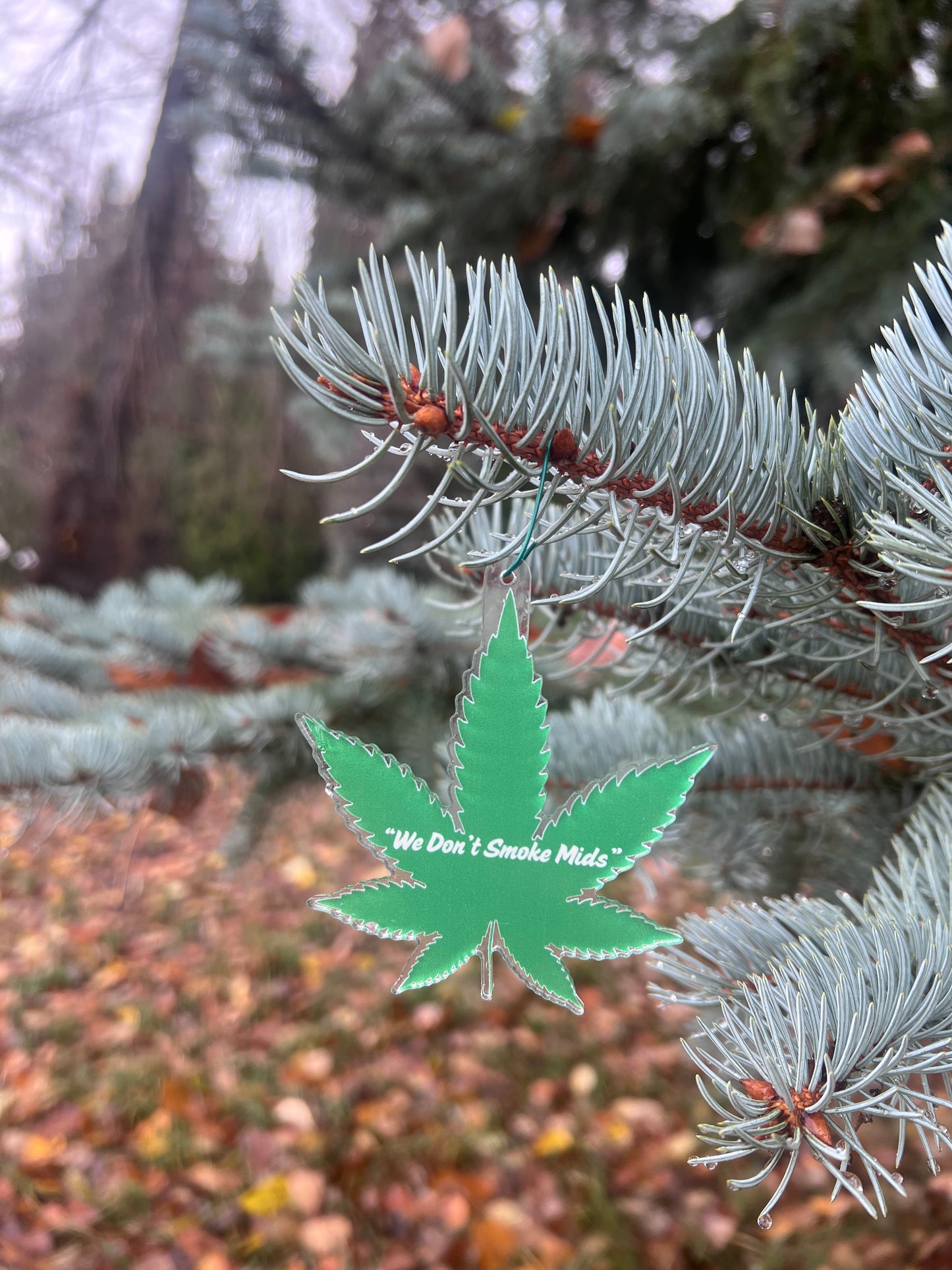 Christmas Ornament set